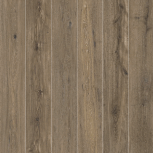 Arizona Tile - Bio Attitude 8" x 48" Rectified Porcelain Tile - Cortex